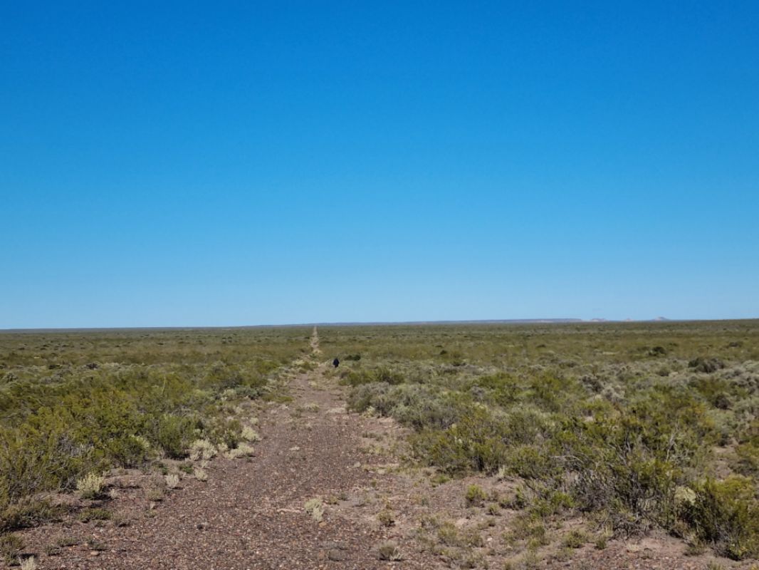 ¡FELIZ DÍA DEL TRABAJADOR!